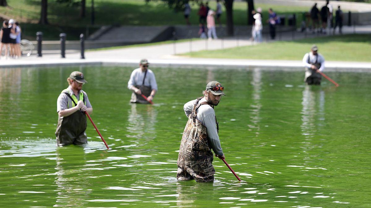 Trump Calls Out ‘Vandalism’ After Blue Paint Begins Peeling From Renovated Reflecting Pool